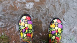 gumboots heavy rain garden