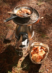 biolite woodstove mushroom