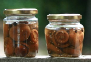 pickled mushrooms jar
