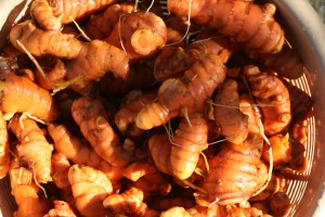 turmeric_basket