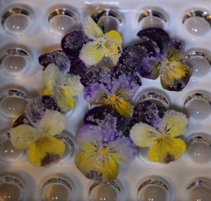 flowers preserved frosted heartsease