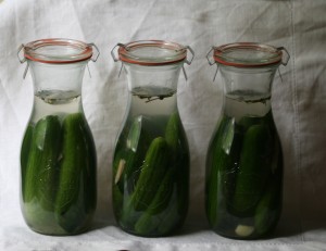 img_1856_fermented_cucumbers